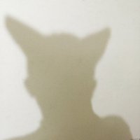 マモちゃん／mamo(mamotaso) (@mamotaso) 's Twitter Profile Photo