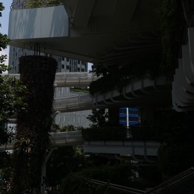 ZYDGwLqCAK45116's profile picture. 