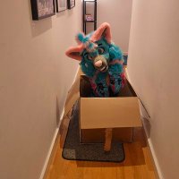 bino_wolf95 (@bino_wolf95) 's Twitter Profile Photo bino_wolf95 (@bino_wolf95) 's Twitter Profile Photo