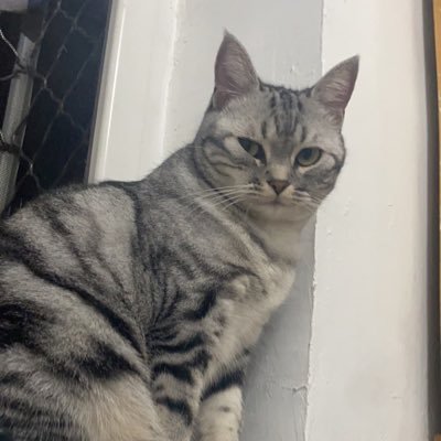 HefeiCao's profile picture. 