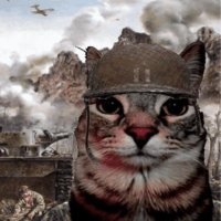 AntiWarCat(@antiwarcat) 's Twitter Profile Photo