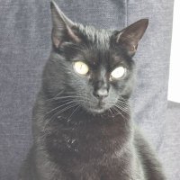 José Luis Llabrés 🐦 (@jllabellon) 's Twitter Profile Photo José Luis Llabrés 🐦 (@jllabellon) 's Twitter Profile Photo