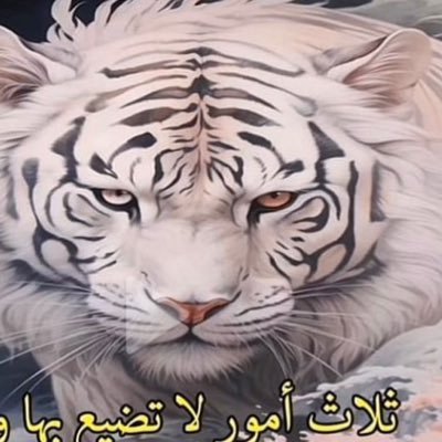 لقد مررت بمواقف جعلتني اتعثر ثم استقيم أنحني ثم أعتدل أنهار ثم أستقوى فأصبحت أعرف حدودي مع الحياة والناس متى أواجه ومتى أنسحب ومتى لا ألتفت أبداً ..