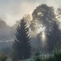 MaKaLa🚜🚜🫶🐈‍⬛🇩🇪 (@mandykathrin) 's Twitter Profile