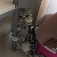 งง (@dedemdebty) 's Twitter Profile