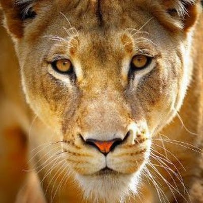 Mia517239474972's profile picture. 