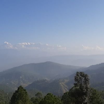 Dooradarshi001's profile picture. Patriot, proud hindu, financial analyst, political analyst