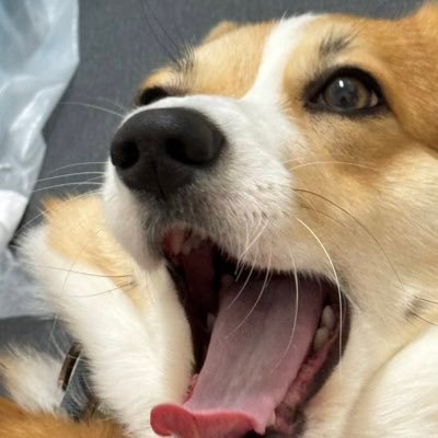 170/85/1推特止於推特 無照不回請附上 歡迎認識～