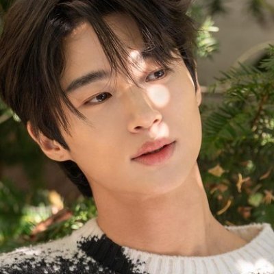 BWS. Profile