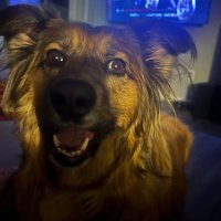 Iceman (@doorkicker85) 's Twitter Profile