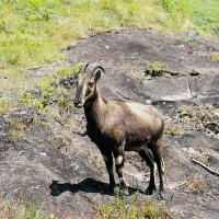 don't know (@mithilesh1869) 's Twitter Profile