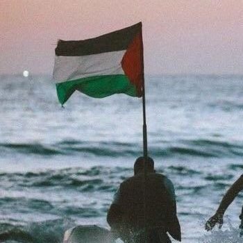 alirehanmohd's profile picture. لا اله الا الله محمد رسول الله