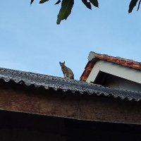 VladK🐉$MON$BUBBLE.NYAN🔫😼 $PARAM Tabi 🟧💀 $ELS (@monvladk6191) 's Twitter Profile