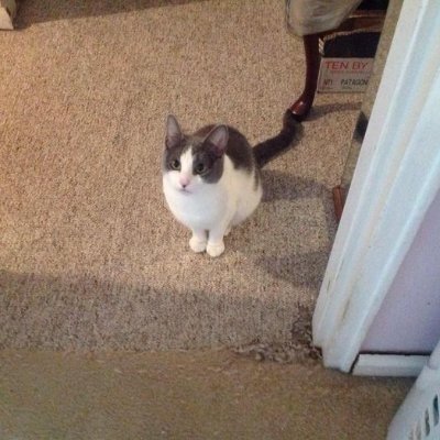 Chrisanne515's profile picture. Senior Court Clerk at Suffolk County Court in Riverhead, New York