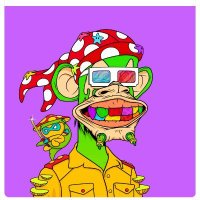 Skills Monkeys π₯· - π¦π’π§π π’π¬ π₯π’π―π (@mintskills59563) 's Twitter Profile