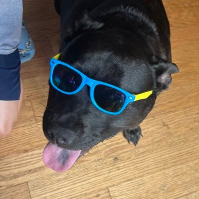 JacobsRosa56834's profile picture. 