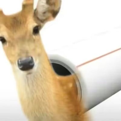 yang13868974's profile picture. 