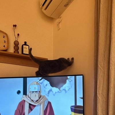 yellow_BM's profile picture. #田中優希 #ゆーにょず #IS_SUE