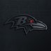 🐦‍⬛ THE Random (Floridian) Ravens Fan (On X)🐦‍⬛ (@RandoRaveOfJax) Twitter profile photo