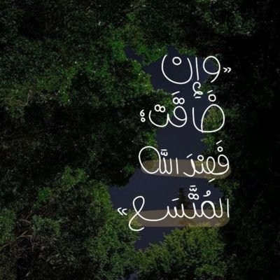 W_qm_'s profile picture. 