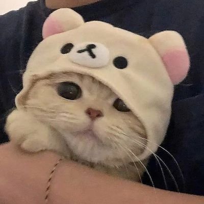 :3