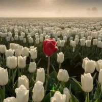 malak (@muxsal7) 's Twitter Profile