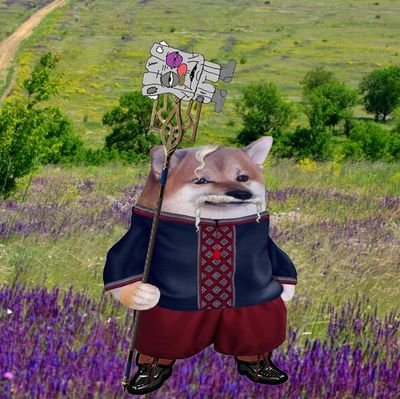 shchebuniaiev's profile picture. It's me;) #NAFO #MUGA