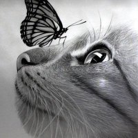 Bright eyes (@b_iz175) 's Twitter Profile