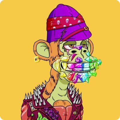 Seg π¦ Profile