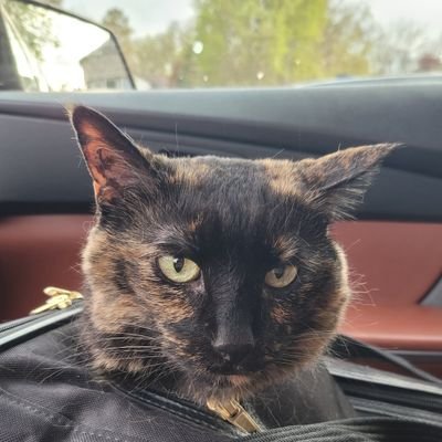 ChrisZaiser1978's profile picture. Just sitting back, watching the wheels turn. I just want to be left alone. If you are looking for help or a handout please look elsewhere. That man died in 2005