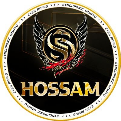 Hossam Abdelnaby Profile