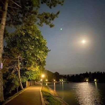 Elgharibbalat8's profile picture. 