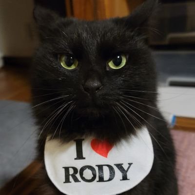 ChieTakashima's profile picture. アフターエフェクツとブレンダーで仕事しています　ババアです