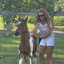 Debbie Bass - @DoberdoBass - Twitter