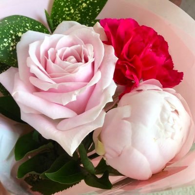 好きなことを気ままに📮する雑多垢(最近はあんスタ多め)┊あんスタ 一彩くん.凛月くん.司くん推し┊他にも好きなものいろいろ┊成人済┊無言フォロー失礼いたします🙇♀️ 好きなものが同じ方とつながりたいです😊