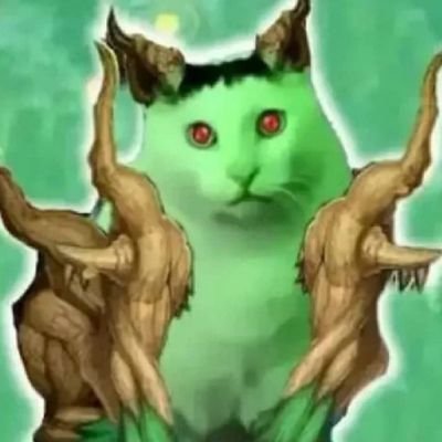 zzzzWender's profile picture. 