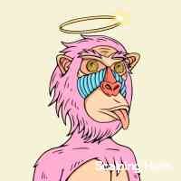 s_calpinghelhm's profile picture. Show me your nft.