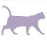 PurpleCatLtd's profile picture. Audio visual equipment supply and installation specialist in the UK