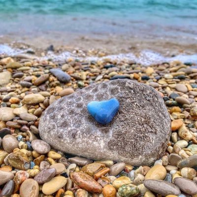 bvanmac's profile picture. Literacy advocate, sports fanatic, #goblue