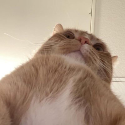 buddy01161207's profile picture. 