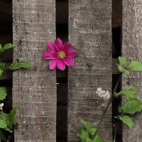𝒮ℛ✨ (@r14353c) 's Twitter Profile