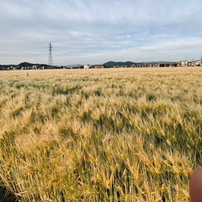 Khangngoc37's profile picture. ၊||၊ DeSpeed ၊||၊