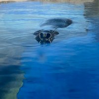 mio (@mio1731546) 's Twitter Profile Photo