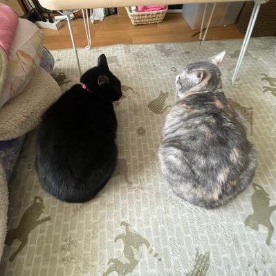 seiko_486's profile picture. 