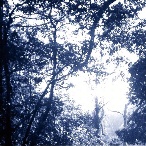 SonicSlowMotion's profile picture. Sick Fat Person is sick