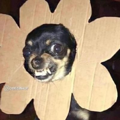 decadepao's profile picture. Posto o que estou sentindo na hora e as vezes apago.  "Experimenta nascer preto na favela pra você ver"