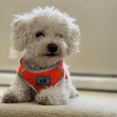 RentRichmond's profile picture. 