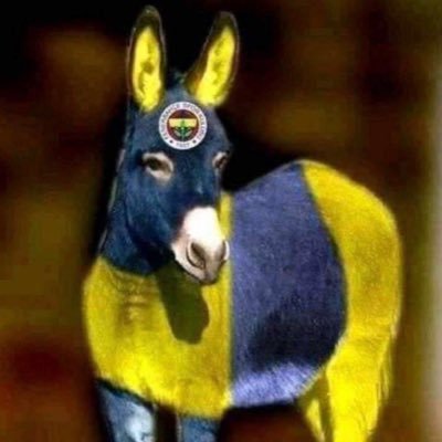 assburner31's profile picture. 10. köy muhtarı / eleştirmen / bilirkişi