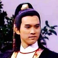 《射雕英雄传》男角色。杨铁心与包惜弱之子，完颜洪烈之养子，杨过之父。最初以“小王爷完颜康”的身份登场，此后虽然知道自己身世，但因迷恋金朝王室的富贵而继续追随完颜洪烈。在铁枪庙中被黄蓉软猬甲上的尖刺刺中，由于刺上沾有欧阳锋的蛇毒而中毒身亡。