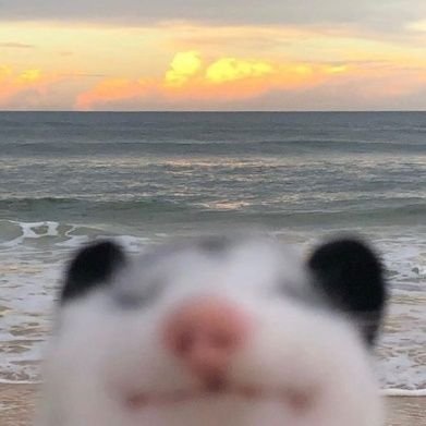 oh_love_poetry's profile picture. люблю поетів, люблю мистецтво